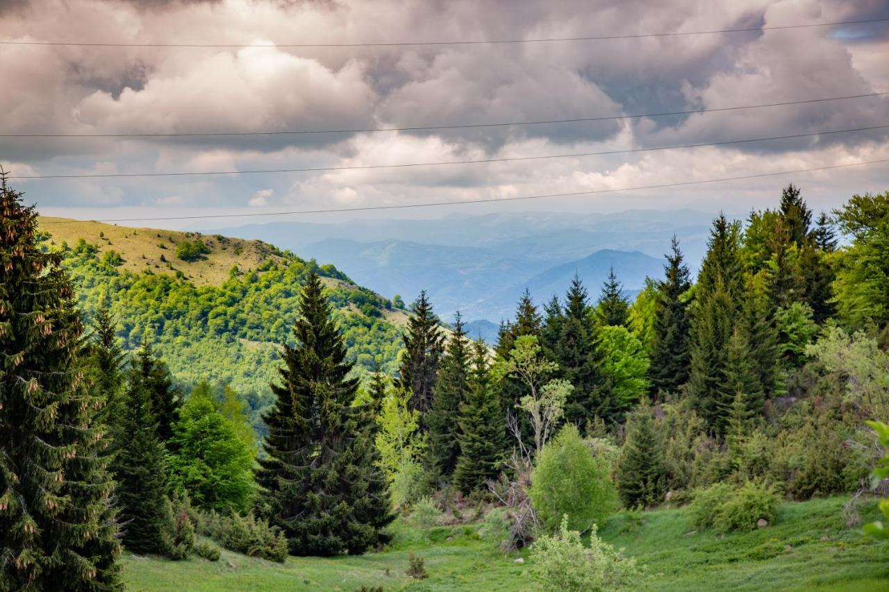 Apartments View Dvori E25 Kopaonik Eksteriør billede